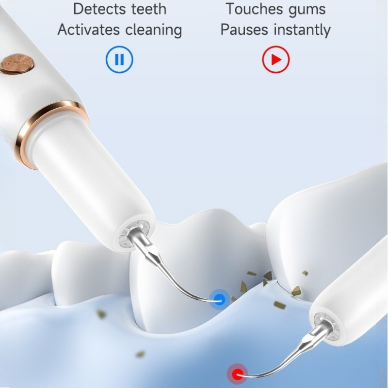 Electric Dog Toothbrushes Low  - đánh giá và giá Electric Toothbrush Sonic