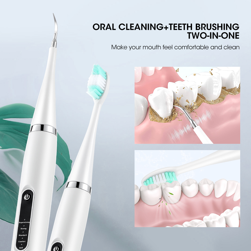 Electric Teeth Cleaner Sonic D - đánh giá và giá Electric Toothbrush Sonic